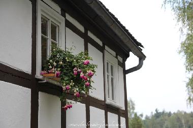 Ferienhaus in Jonsdorf (Oberlausitz / Niederschlesien) oder Ferienwohnung oder Ferienhaus