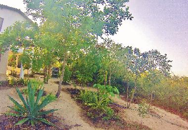 Ferienhaus in Hidden! (Ceara) oder Ferienwohnung oder Ferienhaus