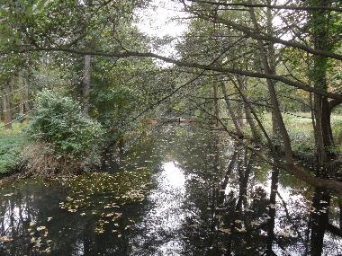 Schlo�park gegen�ber