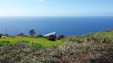 Ferienhaus in PRAZERES (Madeira) oder Ferienwohnung oder Ferienhaus