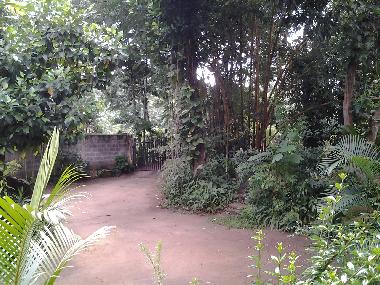 Ferienhaus in MATALE (Matale) oder Ferienwohnung oder Ferienhaus