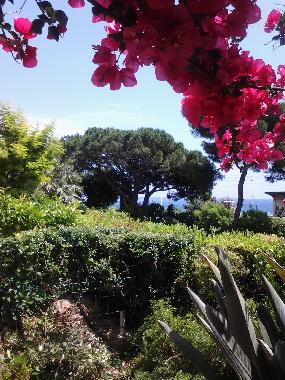 Ferienwohnung in Cannes (Alpes-Maritimes) oder Ferienwohnung oder Ferienhaus