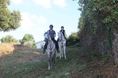 Ferienhaus in Raiva, Castelo de Paiva (Norte) oder Ferienwohnung oder Ferienhaus