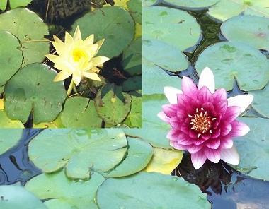 Ferienhaus in Siracuse (Siracusa) oder Ferienwohnung oder Ferienhaus