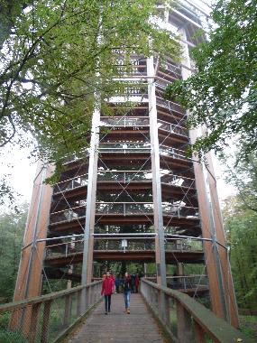 Baumwipfelpfad auf R�gen