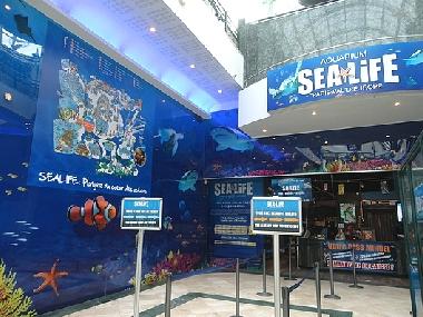 Ferienwohnung in bailly romainvilliers (Seine-et-Marne) oder Ferienwohnung oder Ferienhaus