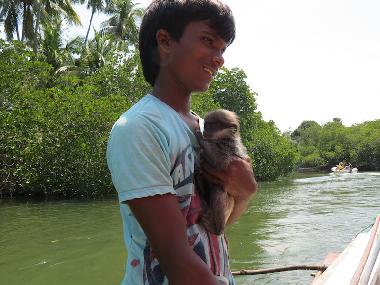 Pension in Akurala, Hikkaduwa (Galle) oder Ferienwohnung oder Ferienhaus