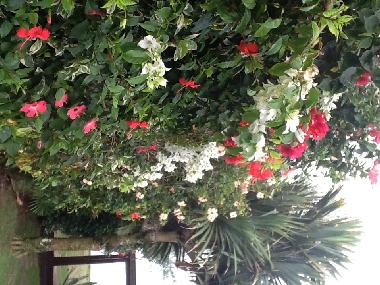 Ferienhaus in Buzios (Rio de Janeiro) oder Ferienwohnung oder Ferienhaus