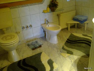 Ferienhaus in Balatonbogl�r (Somogy) oder Ferienwohnung oder Ferienhaus