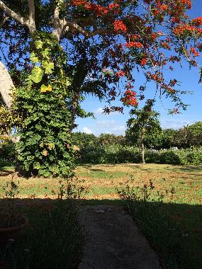 Villa in La Romana (La Romana) oder Ferienwohnung oder Ferienhaus