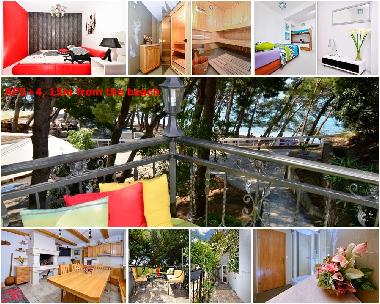 Ferienwohnung in Makarska (Splitsko-Dalmatinska) oder Ferienwohnung oder Ferienhaus