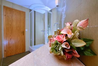 Ferienwohnung in Makarska (Splitsko-Dalmatinska) oder Ferienwohnung oder Ferienhaus