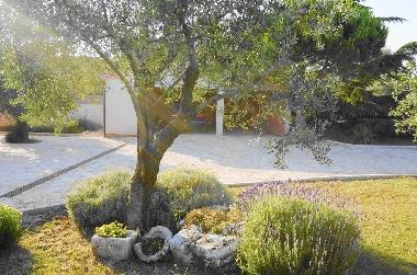 Ferienhaus in Vodnjan (Istarska) oder Ferienwohnung oder Ferienhaus