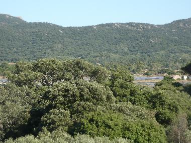 Ferienwohnung in portovecchio (Corse-du-Sud) oder Ferienwohnung oder Ferienhaus