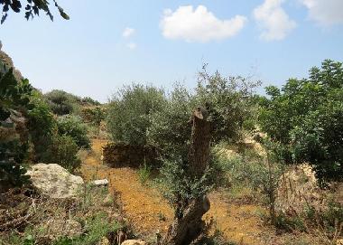 Villa in Xaghra (Gozo) oder Ferienwohnung oder Ferienhaus