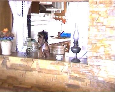 Ferienwohnung in Torrevieja (Alicante / Alacant) oder Ferienwohnung oder Ferienhaus