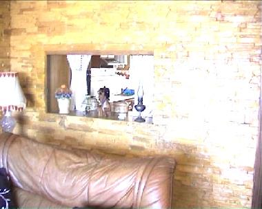 Ferienwohnung in Torrevieja (Alicante / Alacant) oder Ferienwohnung oder Ferienhaus