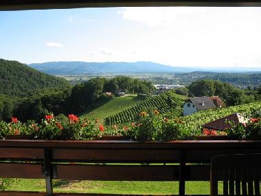 Chalet in Struge?Luce (Luce) oder Ferienwohnung oder Ferienhaus