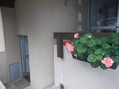 Ferienwohnung in Lauterbrunnen (Lauterbrunnen - Jungfrau) oder Ferienwohnung oder Ferienhaus