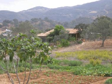 Pension in tavira (Algarve) oder Ferienwohnung oder Ferienhaus