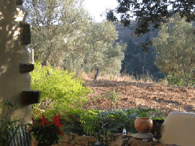 Pension in tavira (Algarve) oder Ferienwohnung oder Ferienhaus