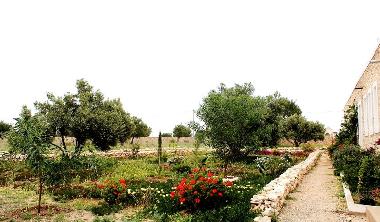 Villa in Douar Masassa (Essaouira) oder Ferienwohnung oder Ferienhaus