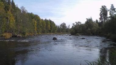 Ferienhaus in M�nsteras kommun (Smaland) oder Ferienwohnung oder Ferienhaus