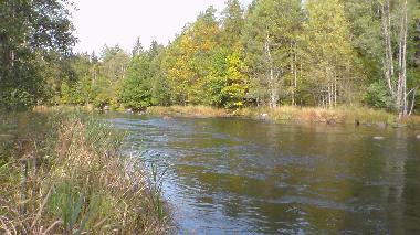 Ferienhaus in M�nsteras kommun (Smaland) oder Ferienwohnung oder Ferienhaus