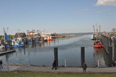 Ferienhaus in Eckwarderh�rne (Nordsee-Festland / Ostfriesland) oder Ferienwohnung oder Ferienhaus