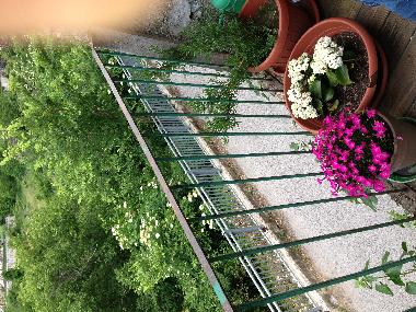 Ferienwohnung in Ortona Dei Marssi (L