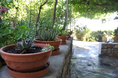 Villa in Lindos Rhodes (Dodekanisos) oder Ferienwohnung oder Ferienhaus