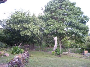 Ferienhaus in Veracruz (Panama) oder Ferienwohnung oder Ferienhaus