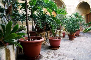 Ferienhaus in Xaghra (Gozo) oder Ferienwohnung oder Ferienhaus
