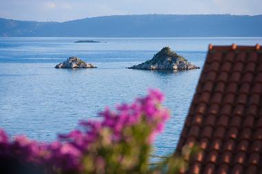 Villa in Seget Vranjica (Splitsko-Dalmatinska) oder Ferienwohnung oder Ferienhaus
