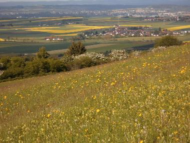 Ferienhaus in fingen (Schwarzwald) oder Ferienwohnung oder Ferienhaus