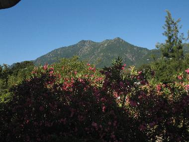 Ferienwohnung in Moriani-Plage (Haute-Corse) oder Ferienwohnung oder Ferienhaus
