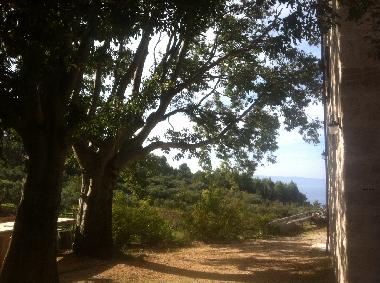 Ferienhaus in Tucepi (Splitsko-Dalmatinska) oder Ferienwohnung oder Ferienhaus