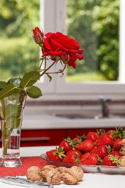 Ferienhaus in Karojba (Istarska) oder Ferienwohnung oder Ferienhaus