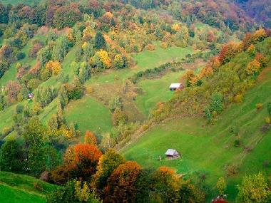 Pension in Predelut (bran) (Brasov) oder Ferienwohnung oder Ferienhaus