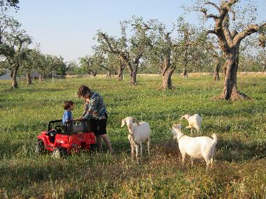 Villa in Porto Cesareo (Lecce) oder Ferienwohnung oder Ferienhaus