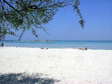 Villa in Porto Cesareo (Lecce) oder Ferienwohnung oder Ferienhaus