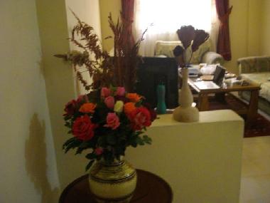 Ferienwohnung in Marrakech (Marrakech) oder Ferienwohnung oder Ferienhaus