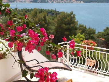 Ferienwohnung in Trogir (Splitsko-Dalmatinska) oder Ferienwohnung oder Ferienhaus