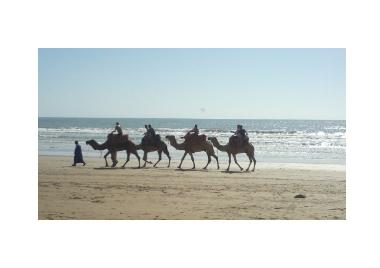 Ferienwohnung in Taghazout (Agadir) oder Ferienwohnung oder Ferienhaus