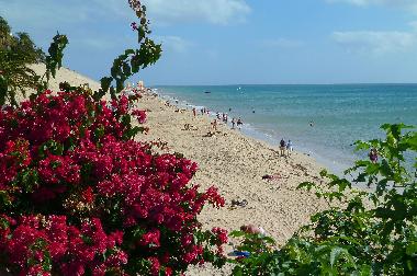 Ferienwohnung in Morro Jable (Fuerteventura) oder Ferienwohnung oder Ferienhaus