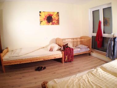 Ferienwohnung in Winterberg (Sauerland) oder Ferienwohnung oder Ferienhaus