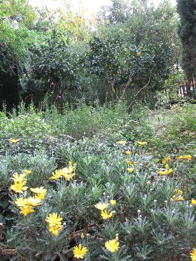 Ferienhaus in roma (Roma) oder Ferienwohnung oder Ferienhaus