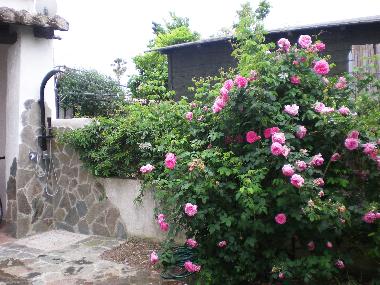 Ferienhaus in Quartu Sant