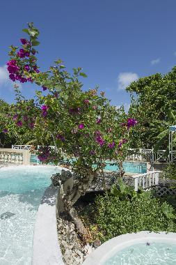 Chalet in Grand Bourg (Guadeloupe) oder Ferienwohnung oder Ferienhaus