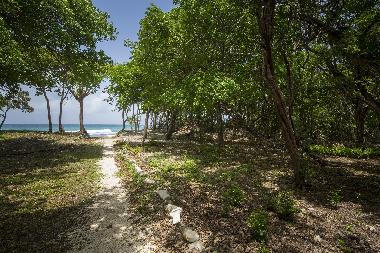 Chalet in Grand Bourg (Guadeloupe) oder Ferienwohnung oder Ferienhaus